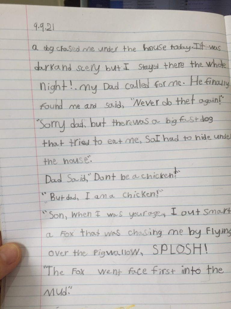 Levi’s Diary Entry