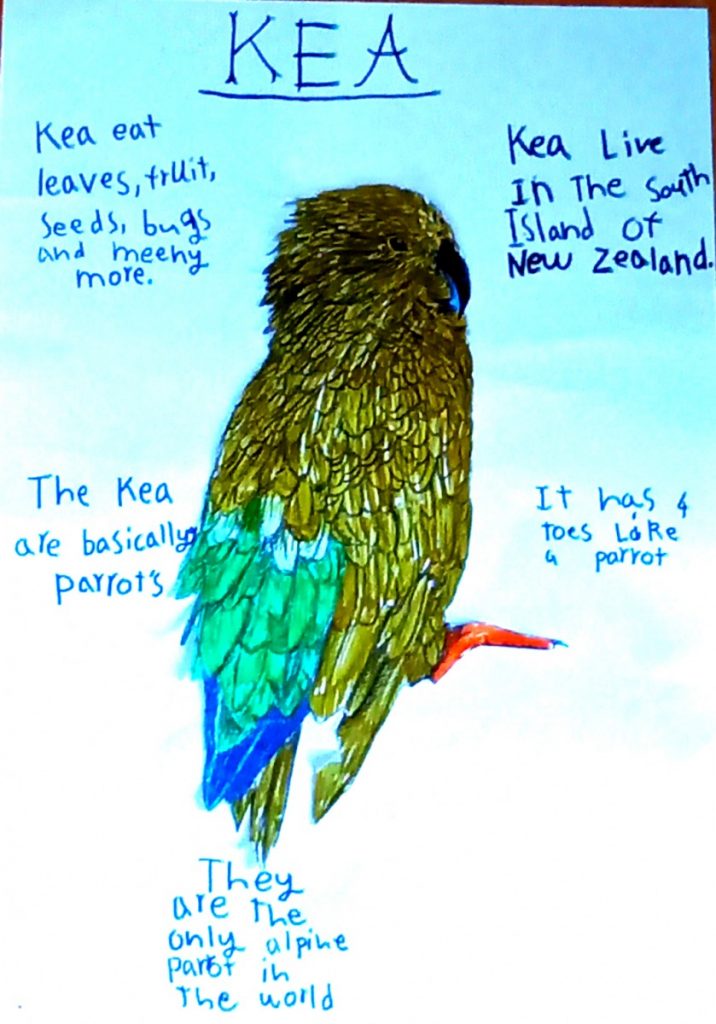 kea